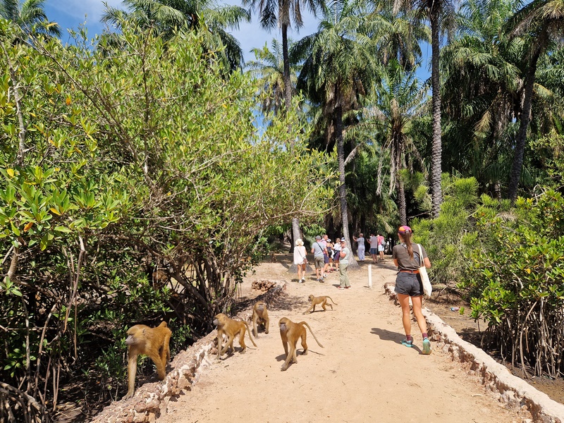 20251222_123528 (Kopiowanie).jpg