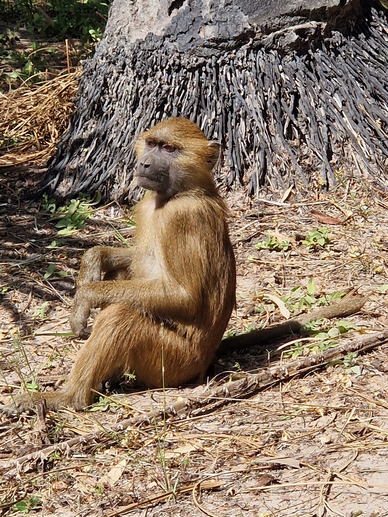 20251222_123612 (Kopiowanie).jpg