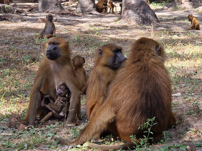 20251222_123646 (Kopiowanie).jpg