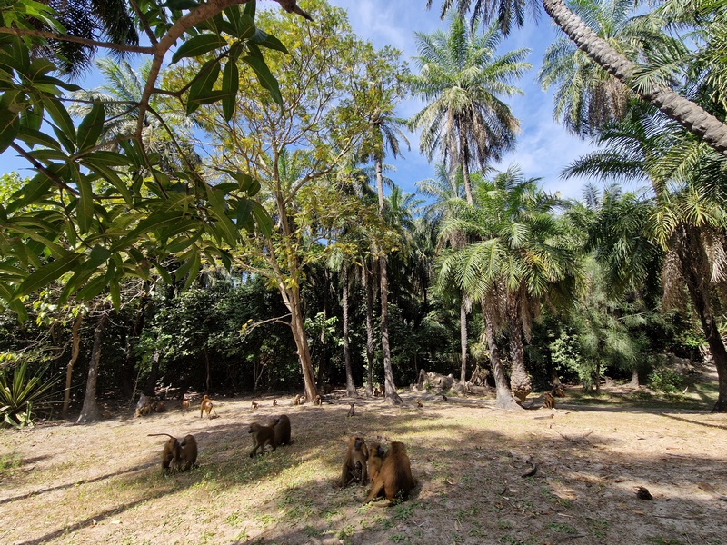 20251222_123653 (Kopiowanie).jpg