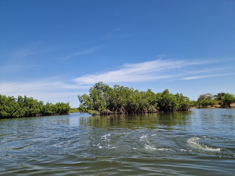 20251222_131208 (Kopiowanie).jpg