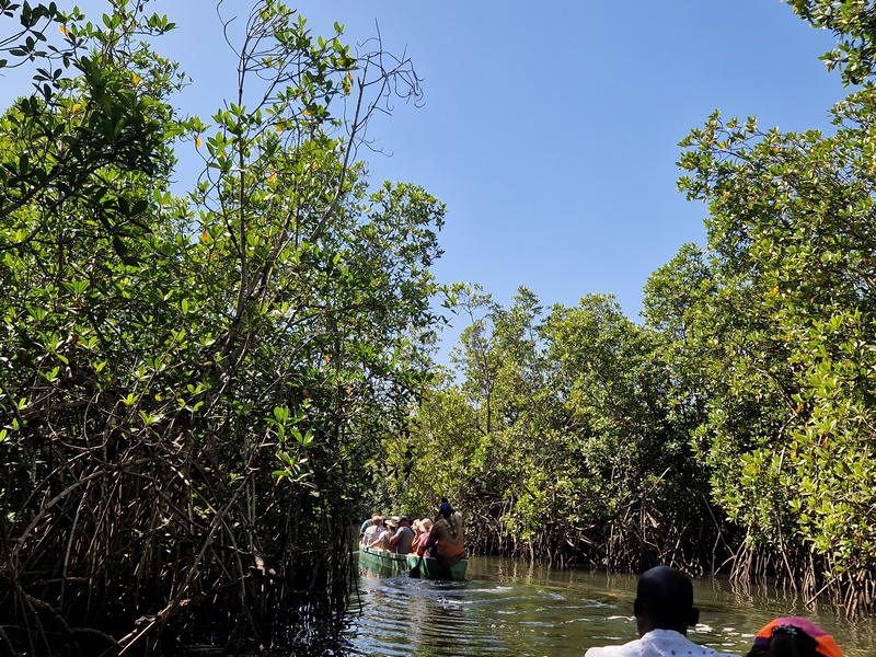 20251222_131436 (Kopiowanie).jpg