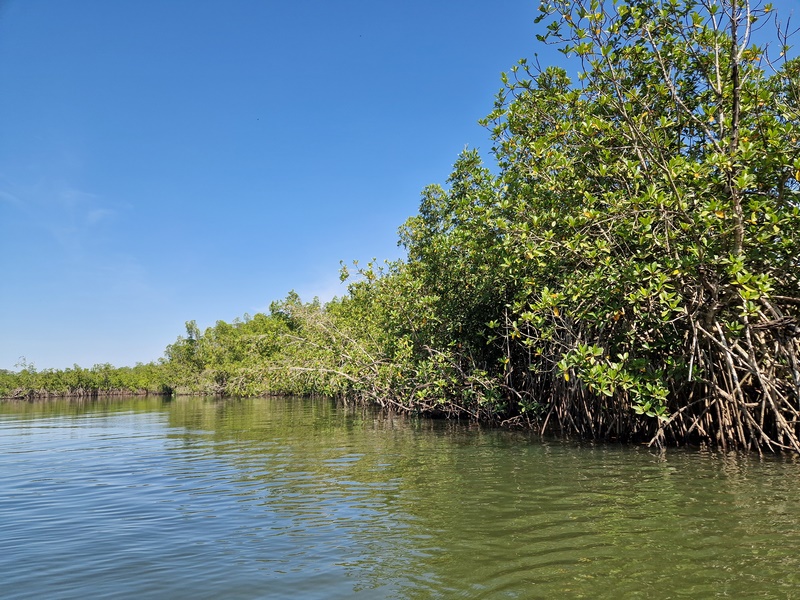 20251222_131531 (Kopiowanie).jpg