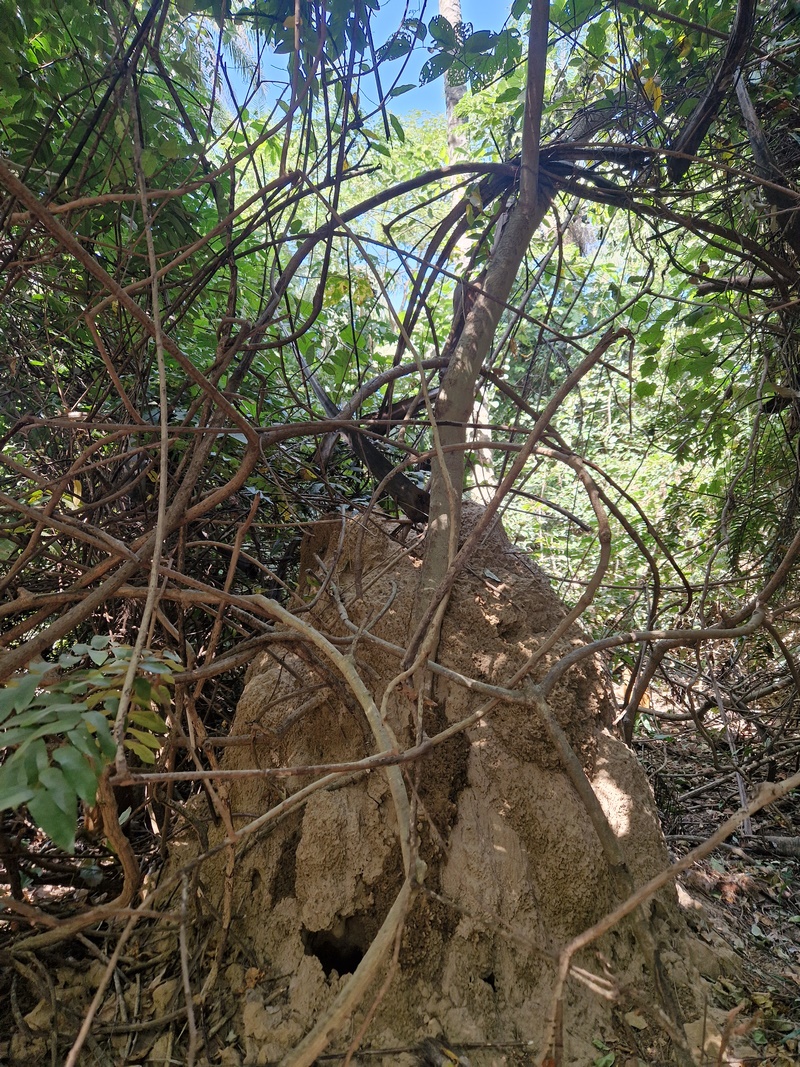 20251222_133049 (Kopiowanie).jpg