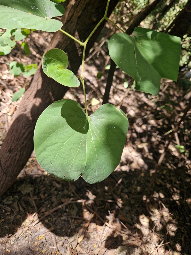 20251222_143215 (Kopiowanie).jpg