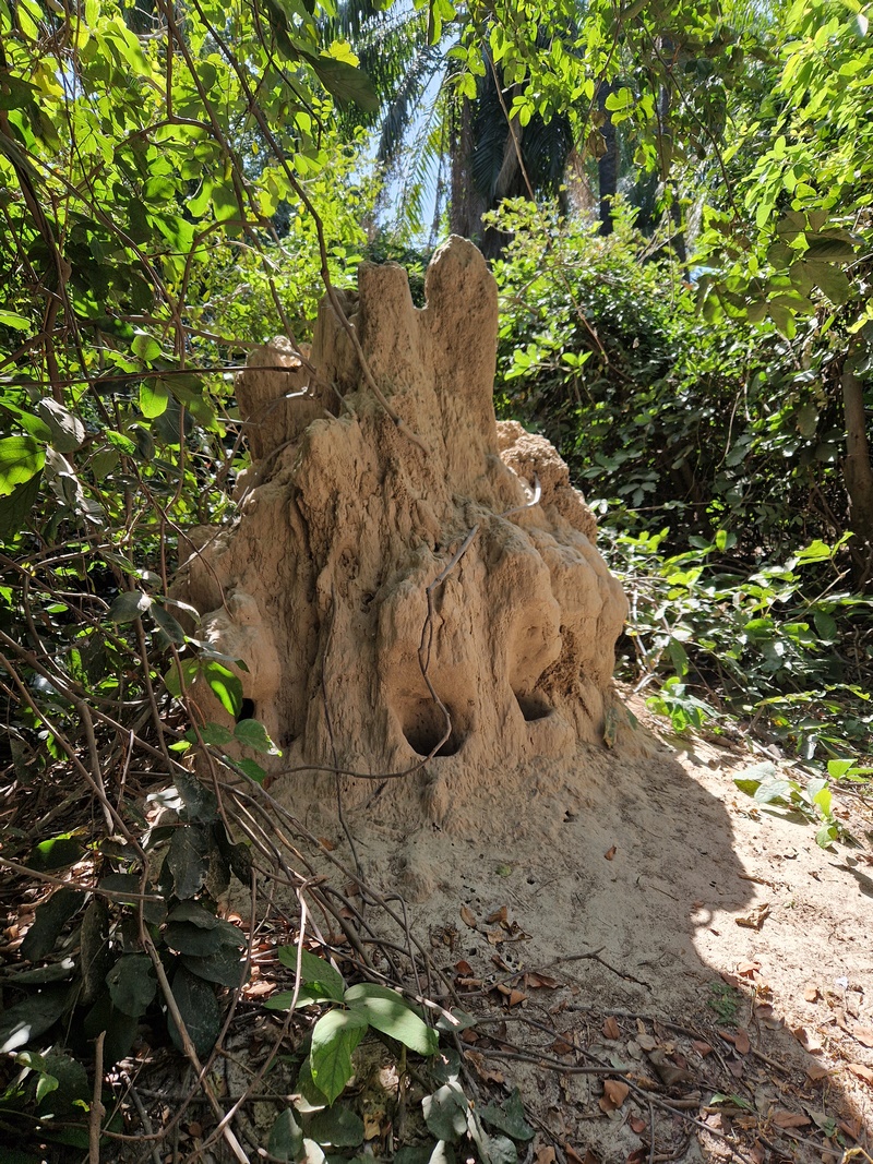 20251222_143629 (Kopiowanie).jpg