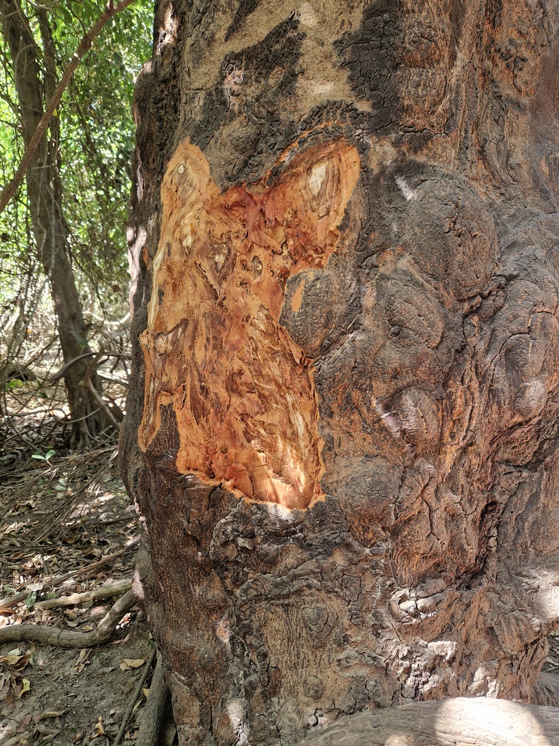 20251222_144013 (Kopiowanie).jpg