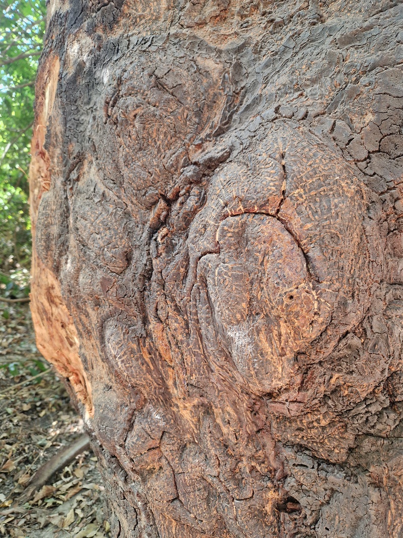 20251222_144049 (Kopiowanie).jpg