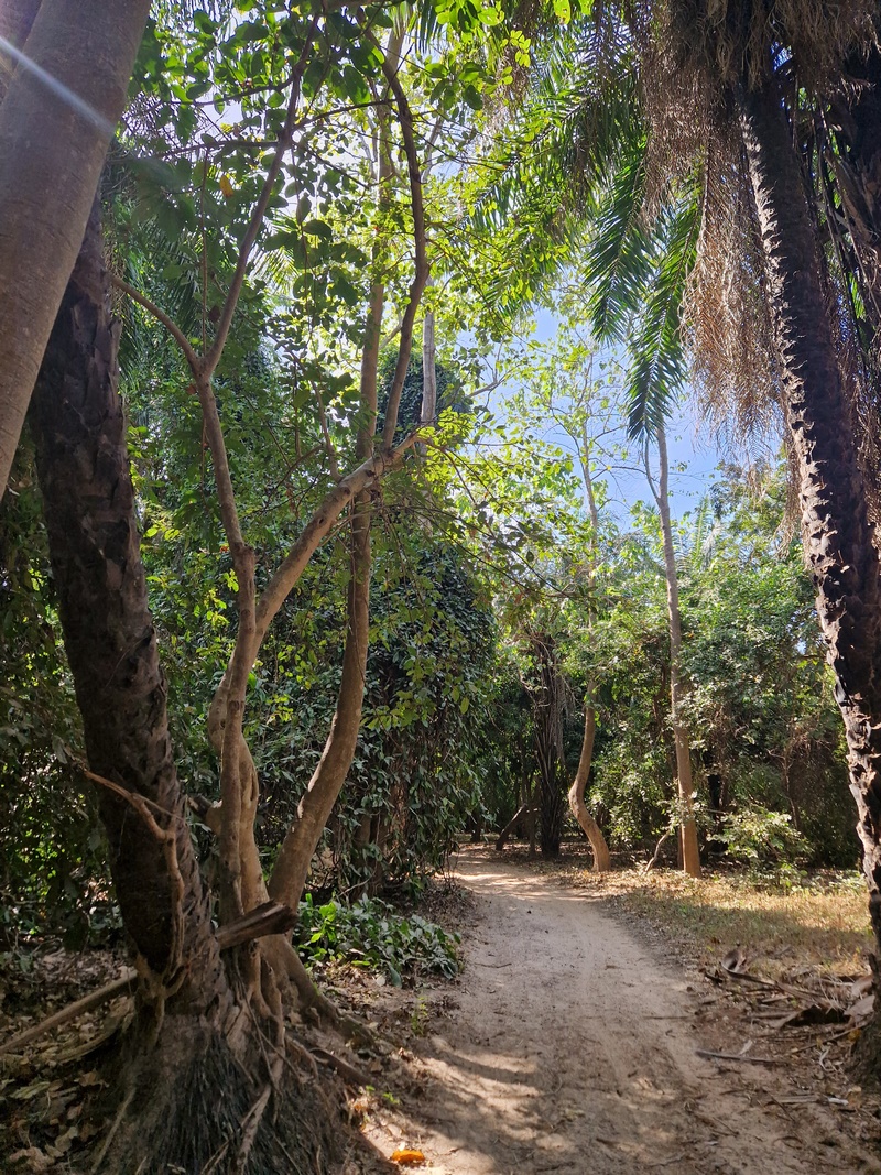 20251222_144257 (Kopiowanie).jpg