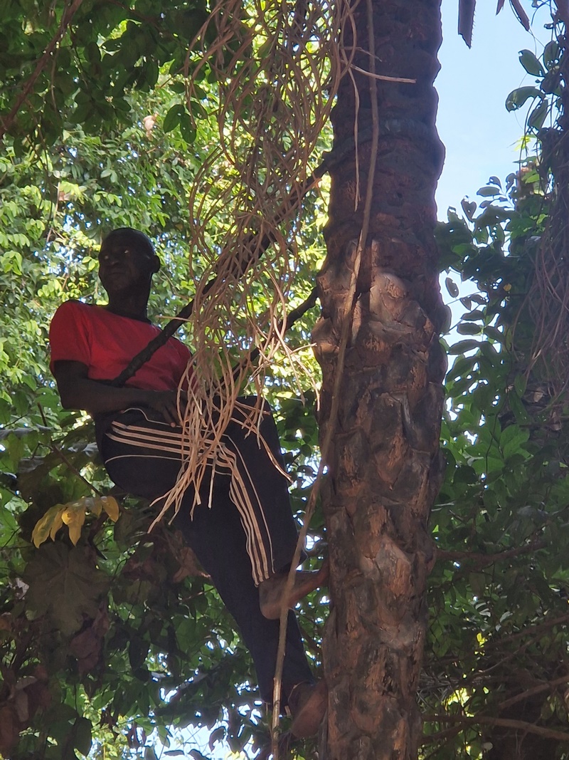 20251222_145937 (Kopiowanie).jpg