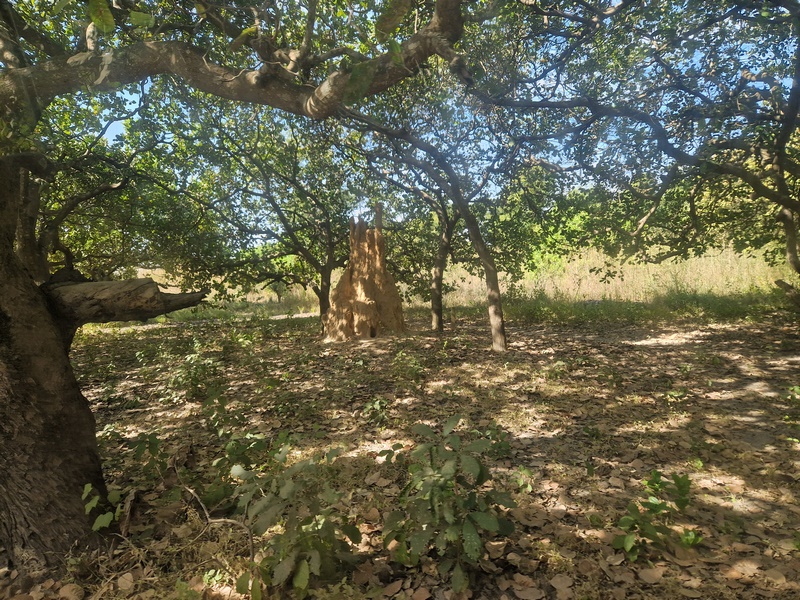 20251222_151137 (Kopiowanie).jpg