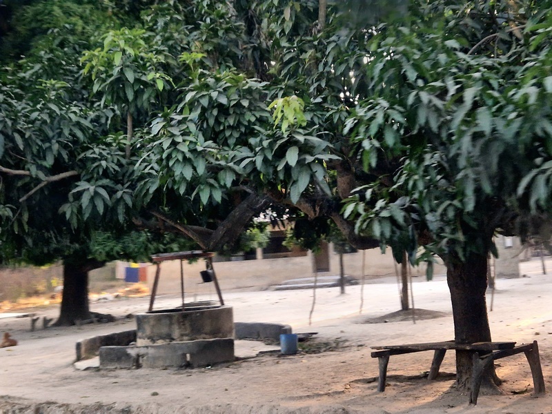 20251222_175059 (Kopiowanie).jpg