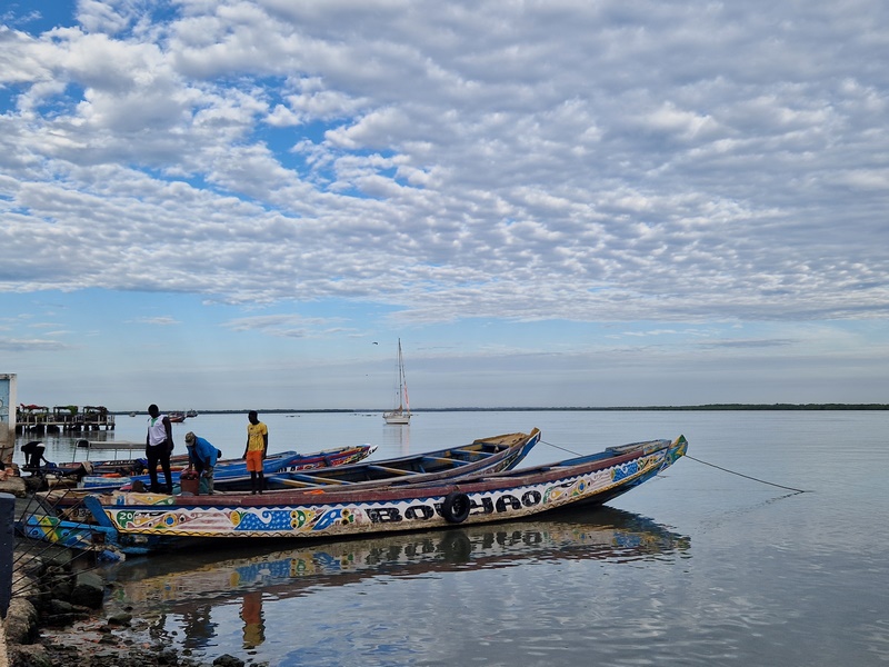 20251224_084305 (Kopiowanie).jpg