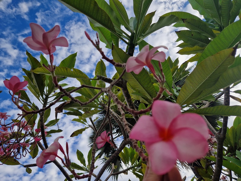 20251224_090203 (Kopiowanie).jpg