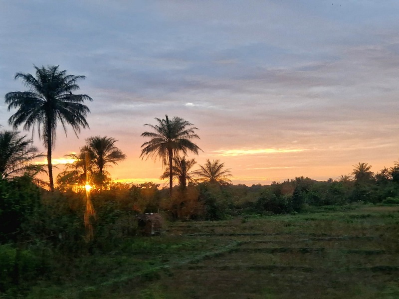 a5ce1026-f893-4fc2-8cd1-8b2fe8e38d72 (Kopiowanie).jpg