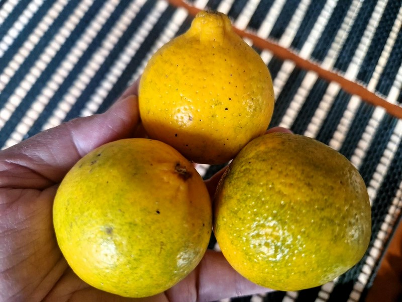 da535e75-3fc7-435e-8304-147f53158fc4 (Kopiowanie).jpg