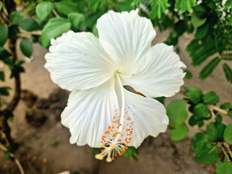 20251223_150655 (Kopiowanie).jpg