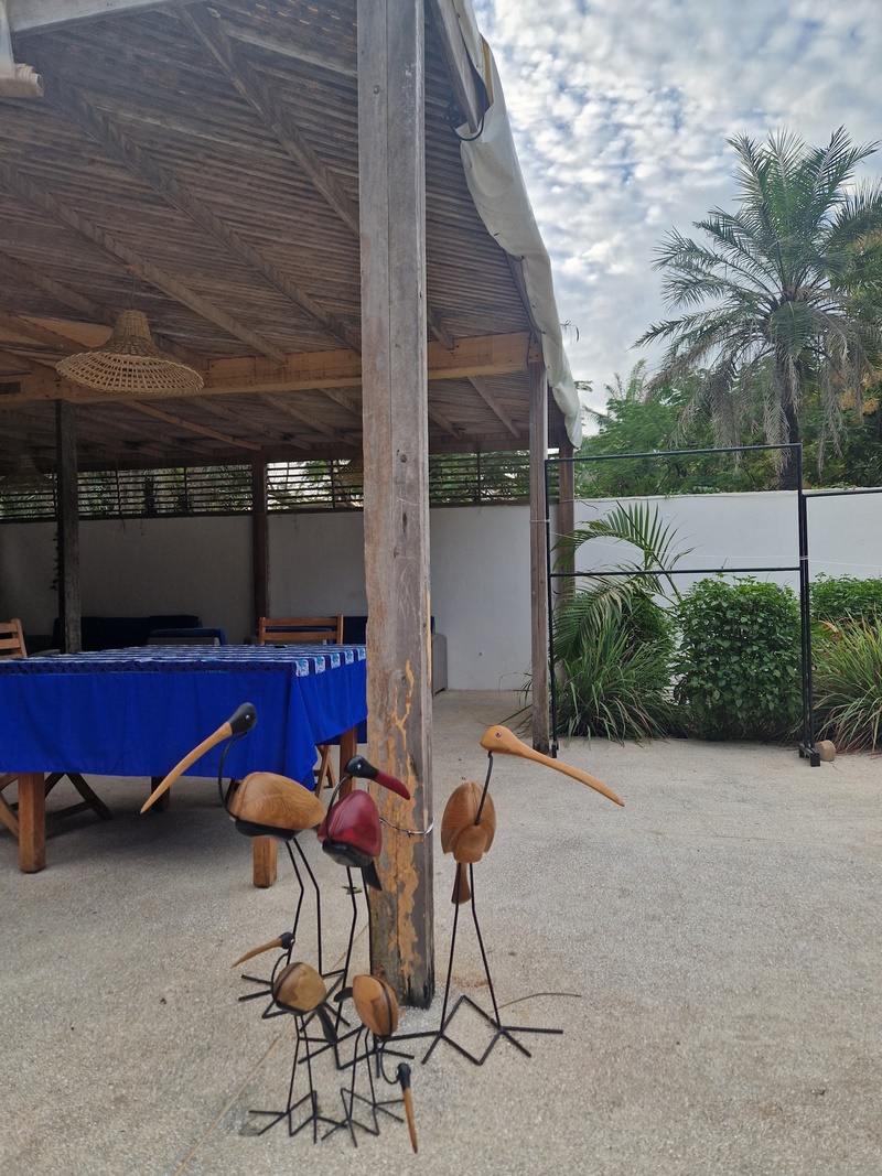 20251223_080041 (Kopiowanie).jpg