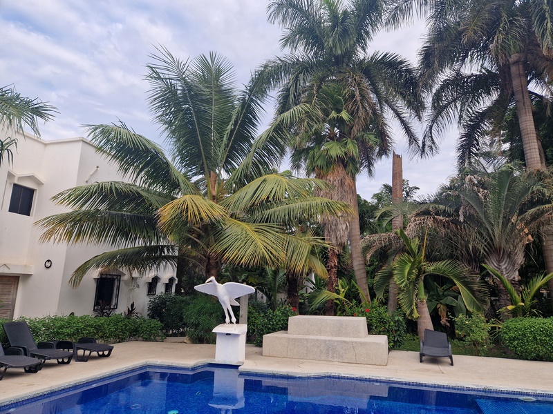 20251223_080057 (Kopiowanie).jpg