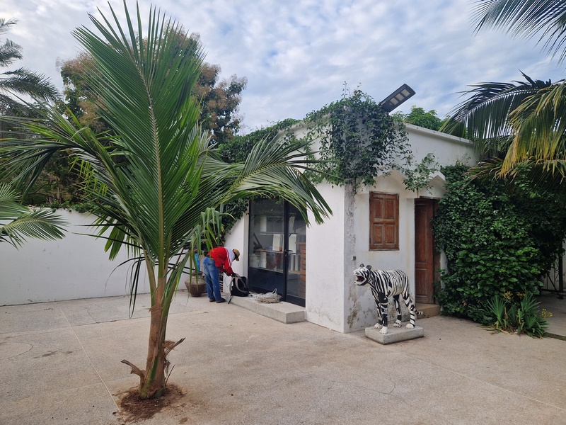 20251223_080104 (Kopiowanie).jpg