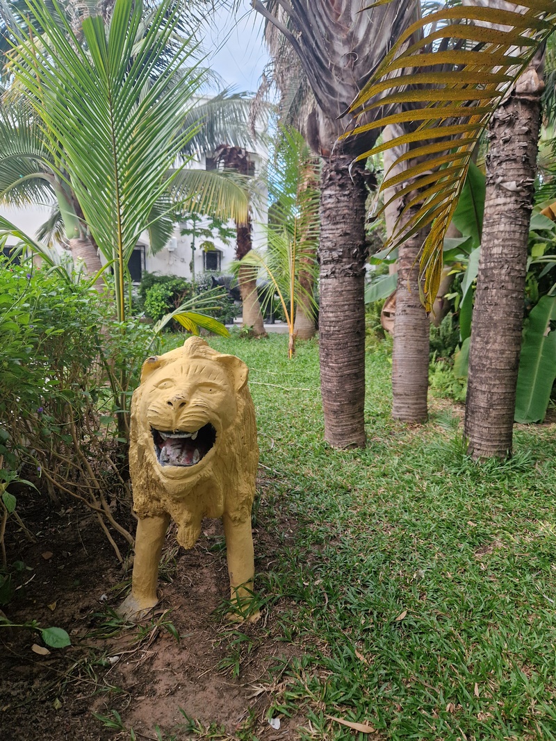 20251223_080431 (Kopiowanie).jpg