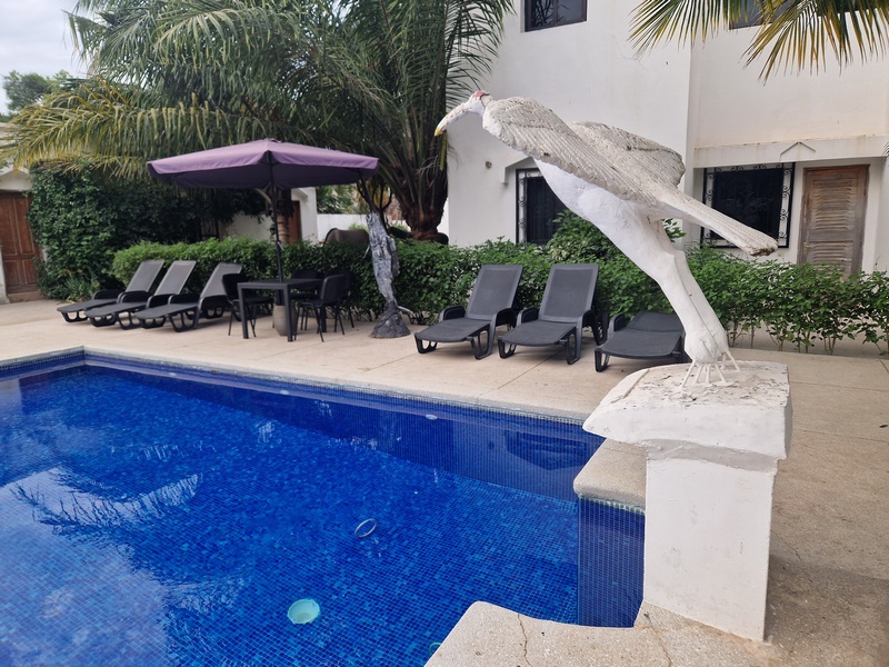 20251223_080454 (Kopiowanie).jpg