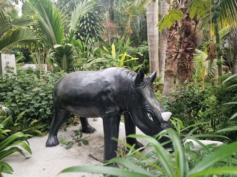 20251223_080528 (Kopiowanie).jpg