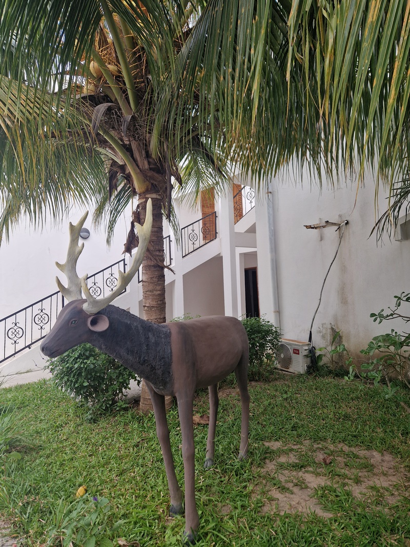 20251223_080622 (Kopiowanie).jpg