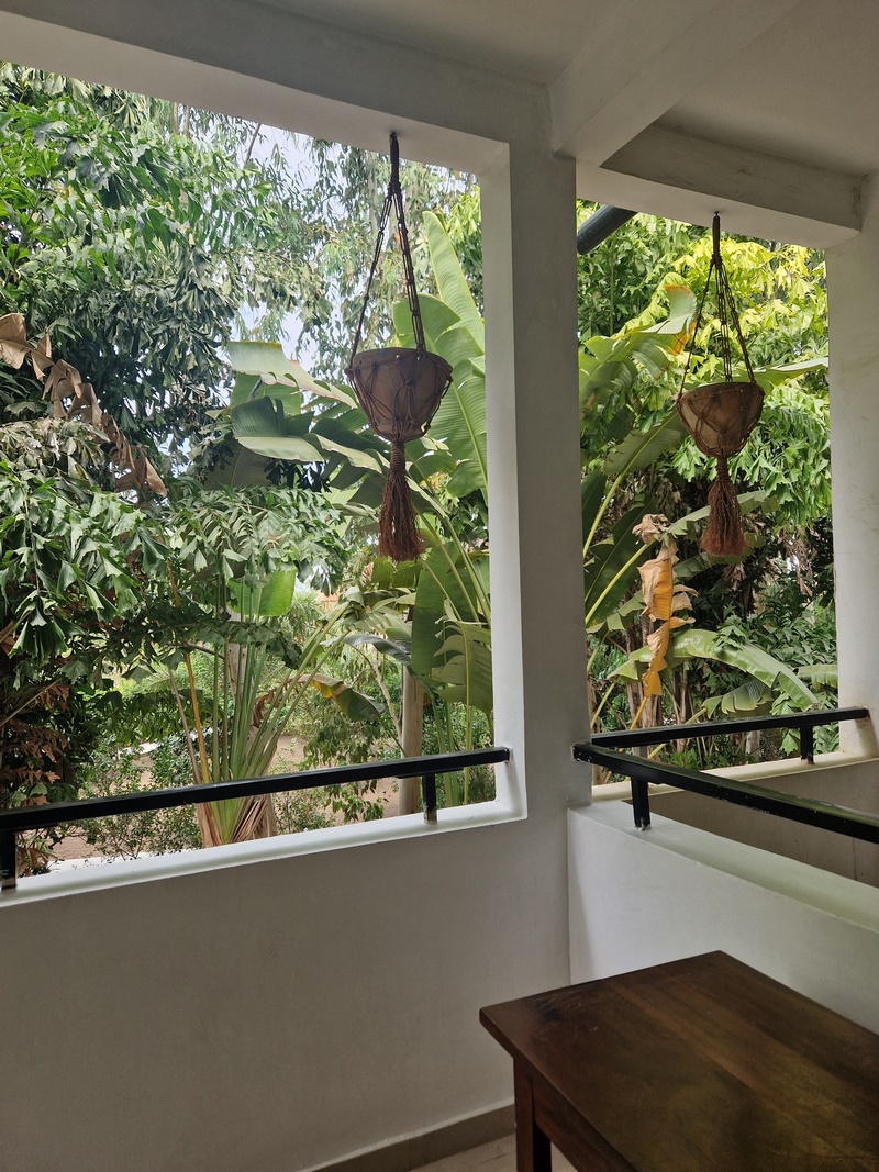 20251223_153131 (Kopiowanie).jpg