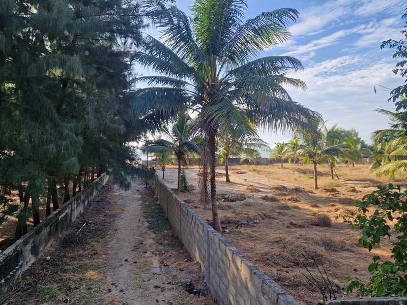 20251223_163745 (Kopiowanie).jpg