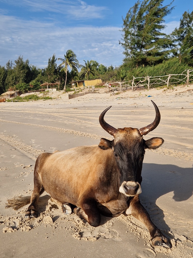 20251223_172523 (Kopiowanie).jpg