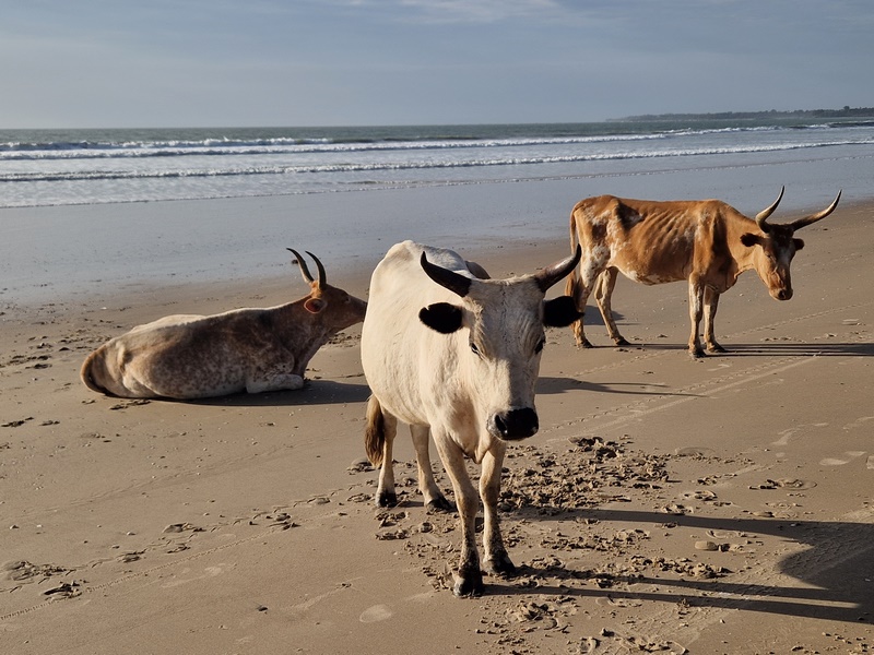 20251223_172551 (Kopiowanie).jpg