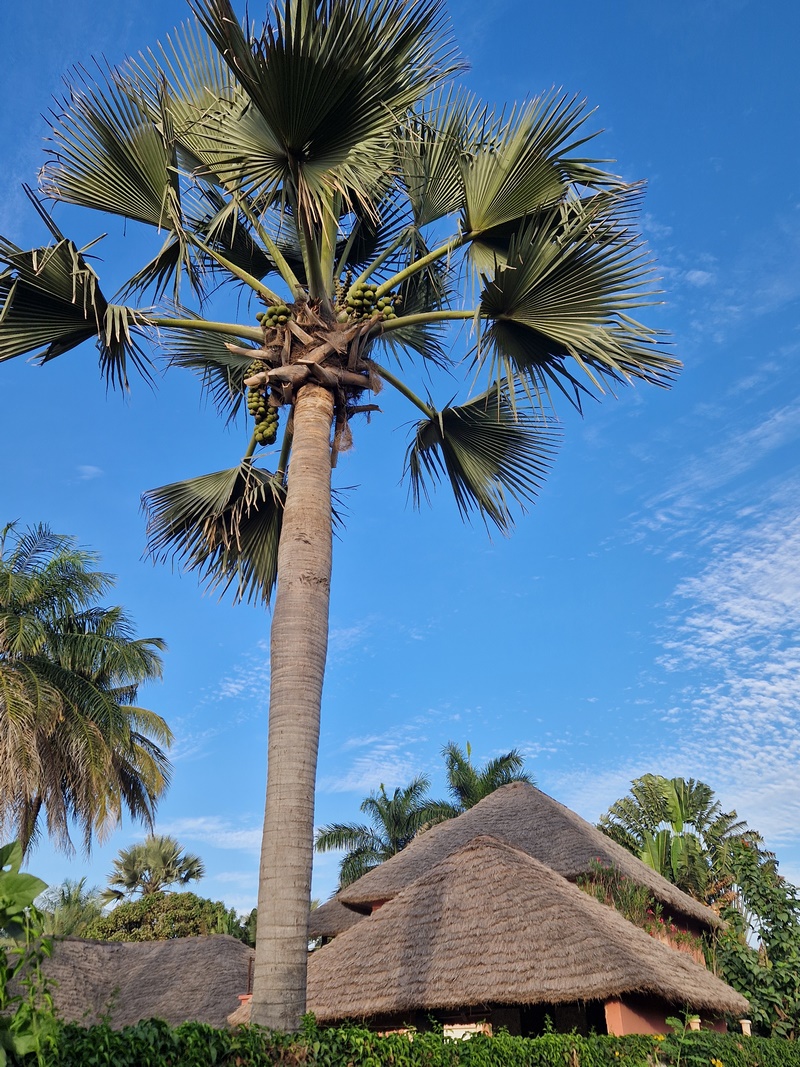 20251223_174512 (Kopiowanie).jpg