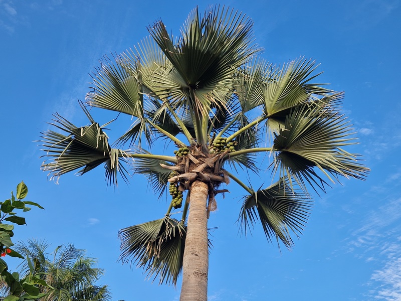 20251223_174518 (Kopiowanie).jpg