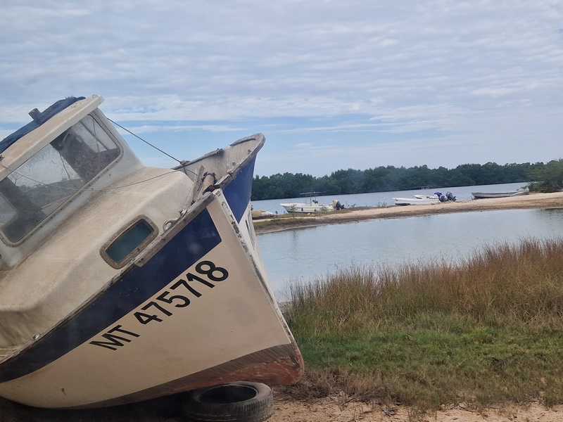 20251223_094139 (Kopiowanie).jpg