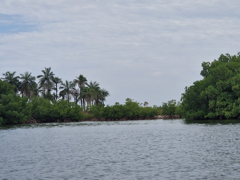 20251223_095509 (Kopiowanie).jpg