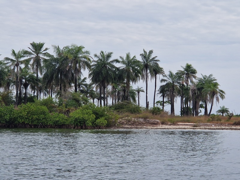 20251223_095528 (Kopiowanie).jpg