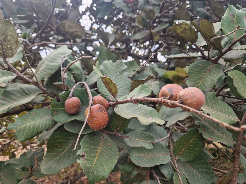 20251223_102619 (Kopiowanie).jpg