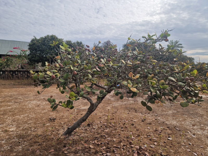 20251223_102801 (Kopiowanie).jpg