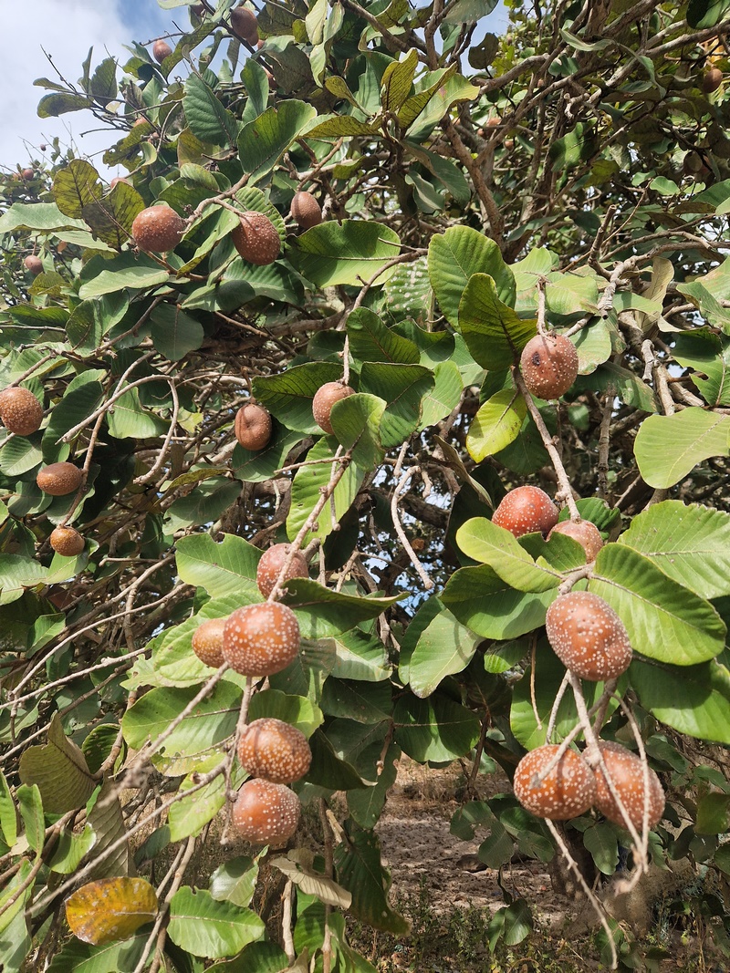 20251223_102913 (Kopiowanie).jpg