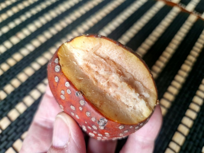 365dd915-d4c0-4b15-9887-d3f9443d3247 (Kopiowanie).jpg