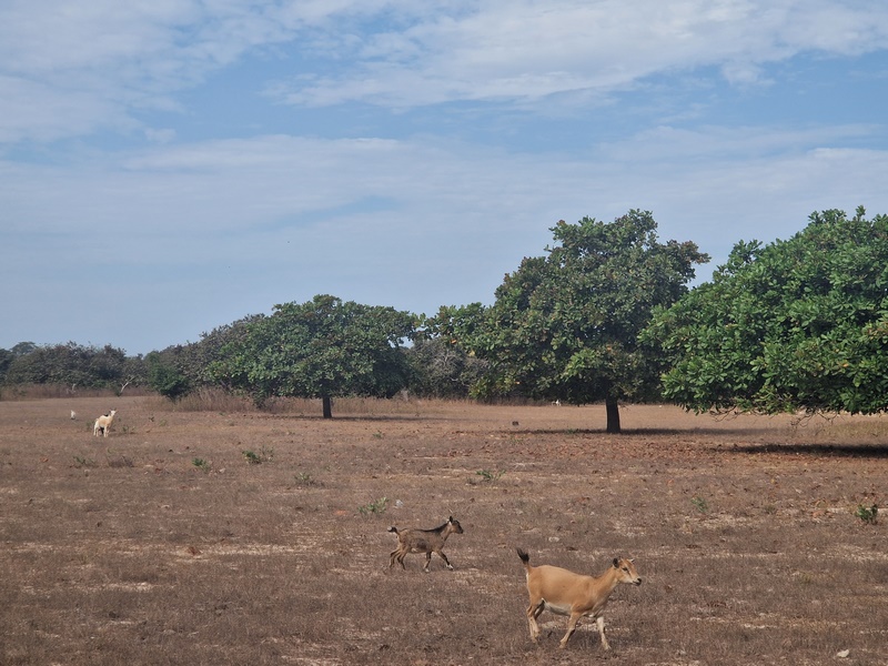 20251223_103009 (Kopiowanie).jpg