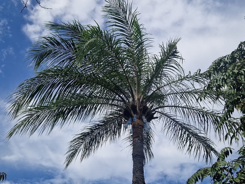 20251223_103436 (Kopiowanie).jpg