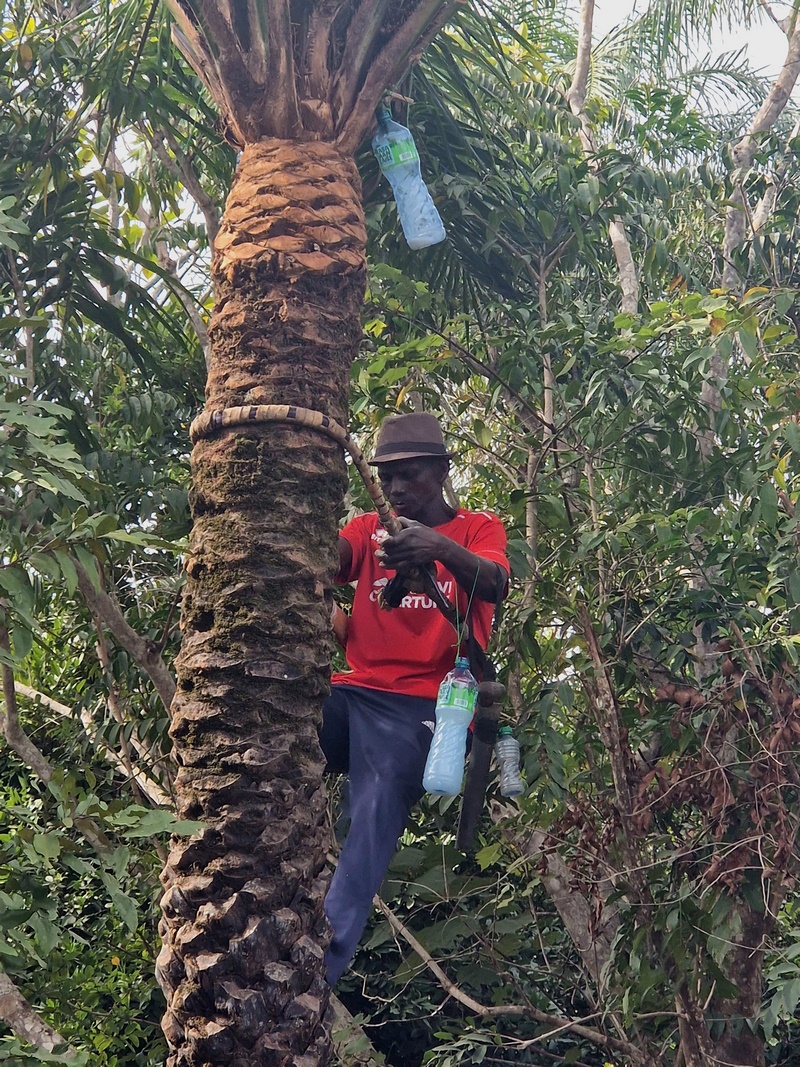 20251223_103522 (Kopiowanie).jpg