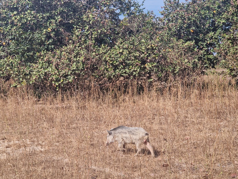 20251223_105311(0) (Kopiowanie).jpg