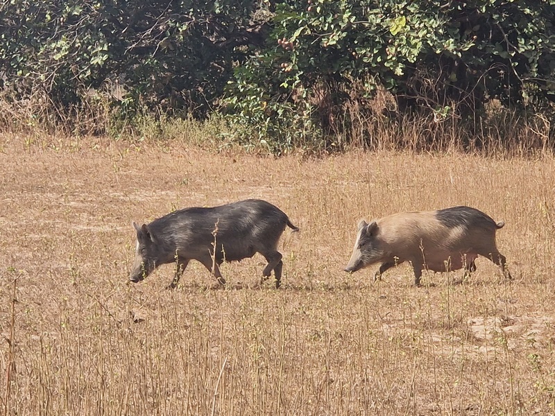 20251223_105315 (Kopiowanie).jpg