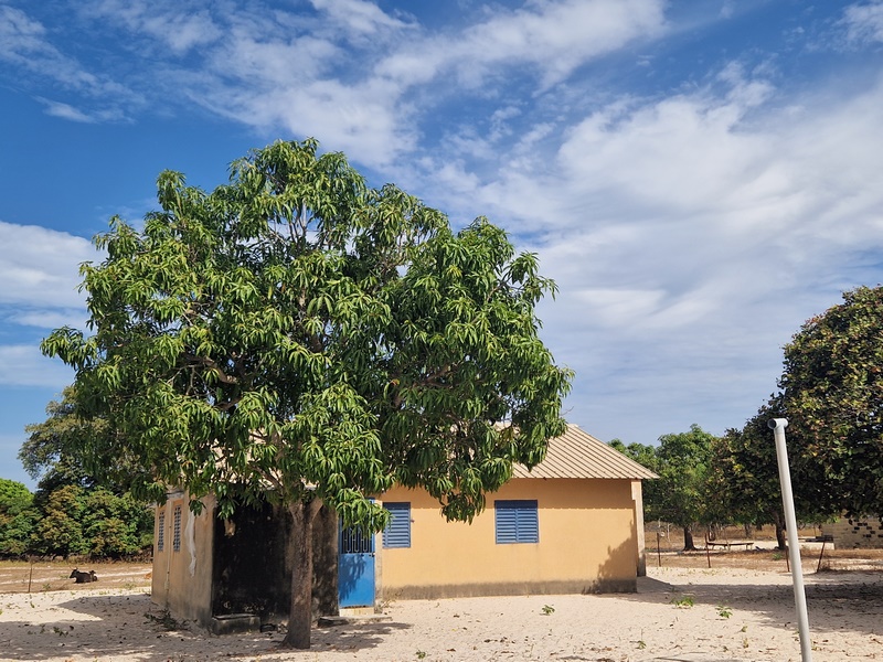 20251223_105506 (Kopiowanie).jpg