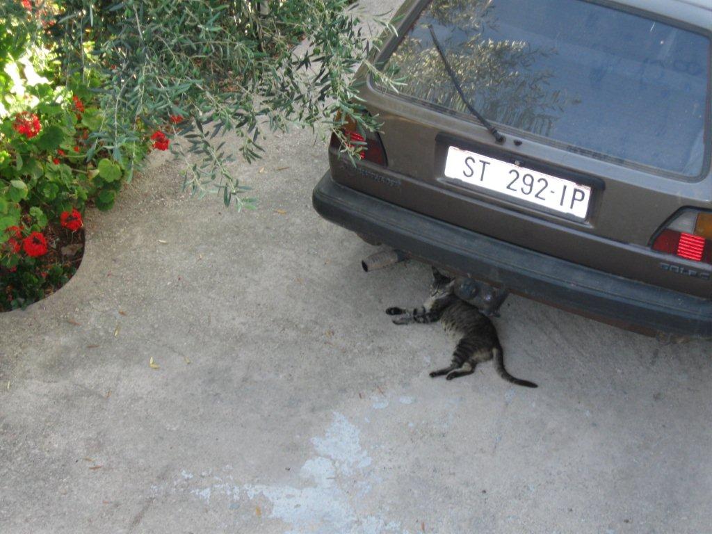 Chorwacja 2008 458.jpg