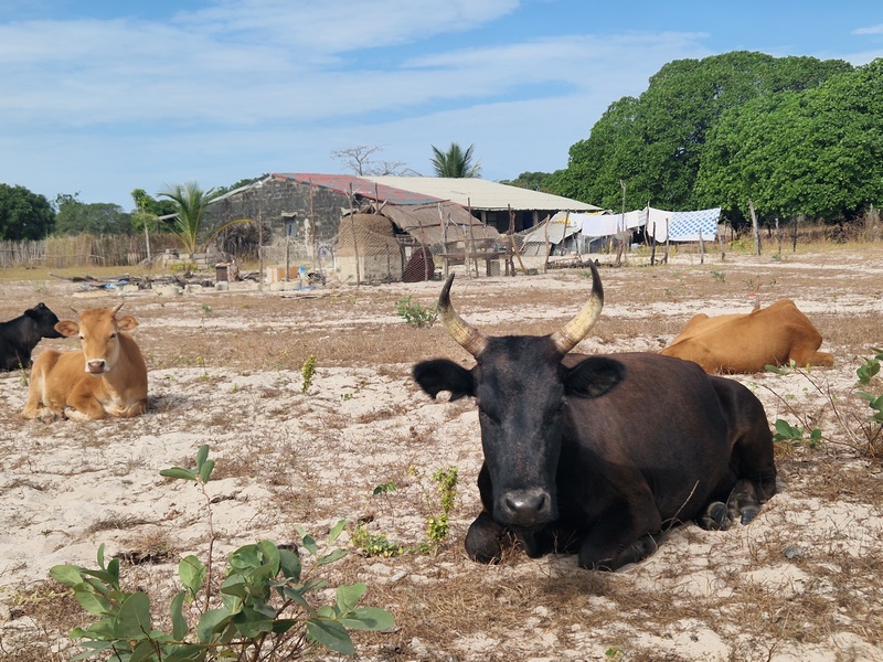 20251223_105739 (Kopiowanie).jpg