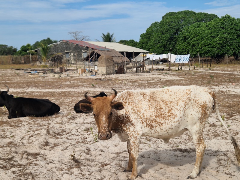 20251223_105750 (Kopiowanie).jpg